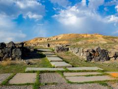 partner