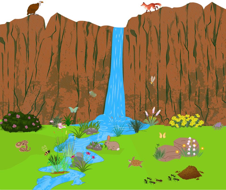 Rivers / waterfalls